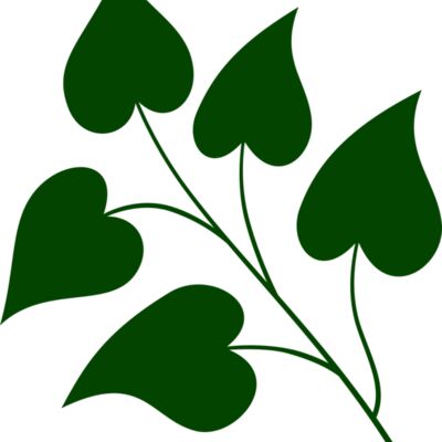 Leaves 3 Thumbnail